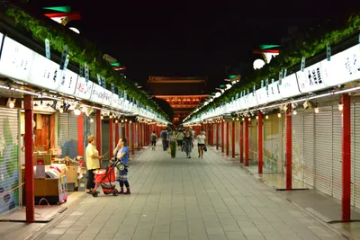 DSC_3988 (Large).JPG